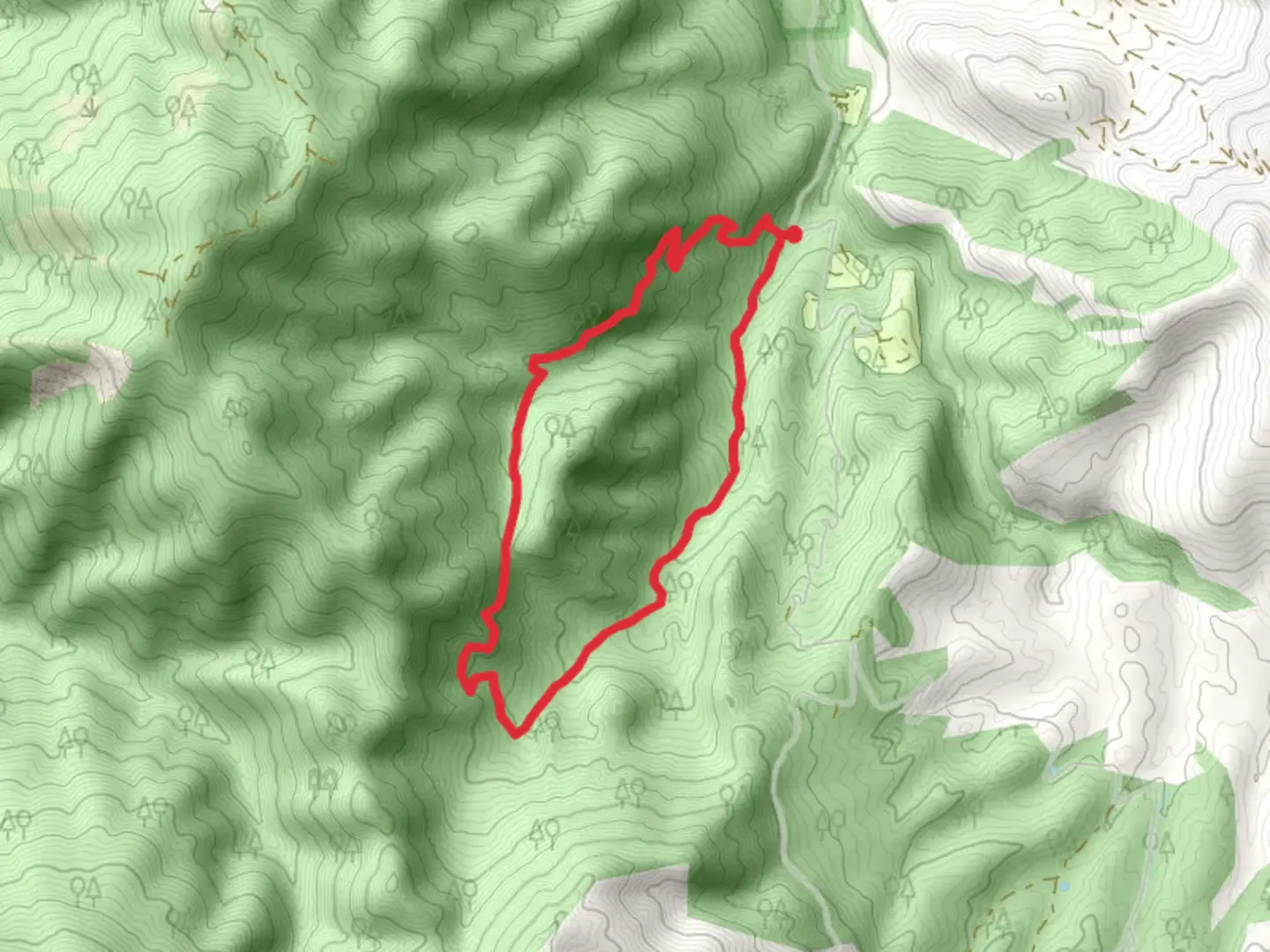 An image depicting the trail Box Elder Creek Loop and its surrounding area.