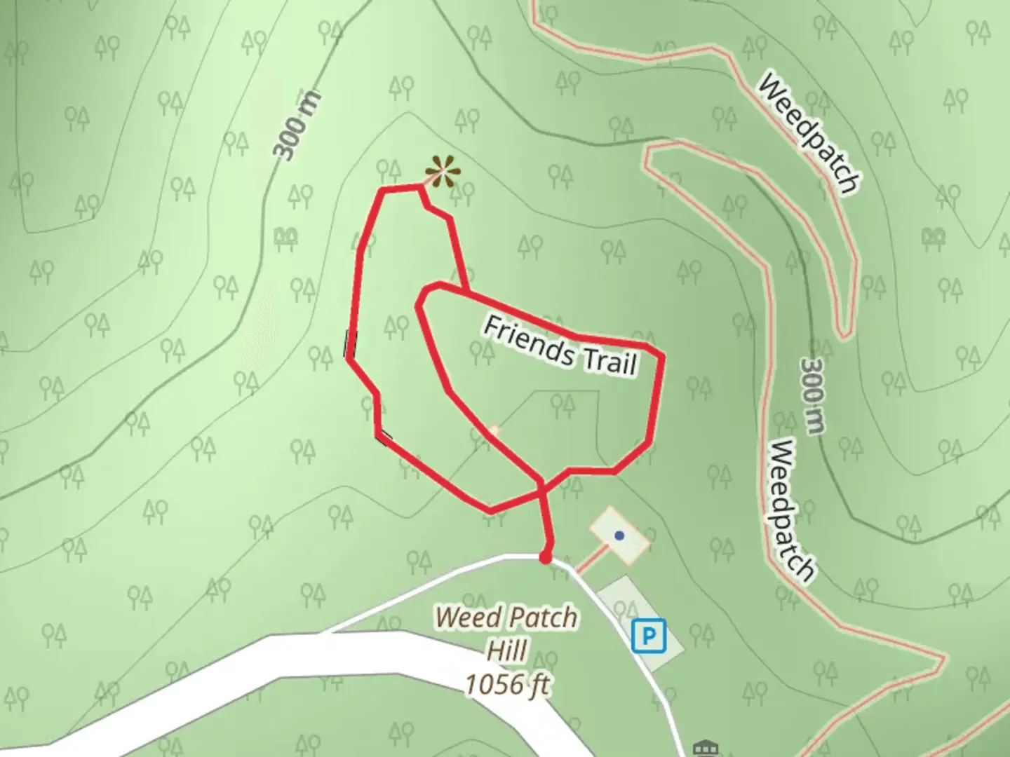 An image depicting the trail Friends Loop Trail and its surrounding area.