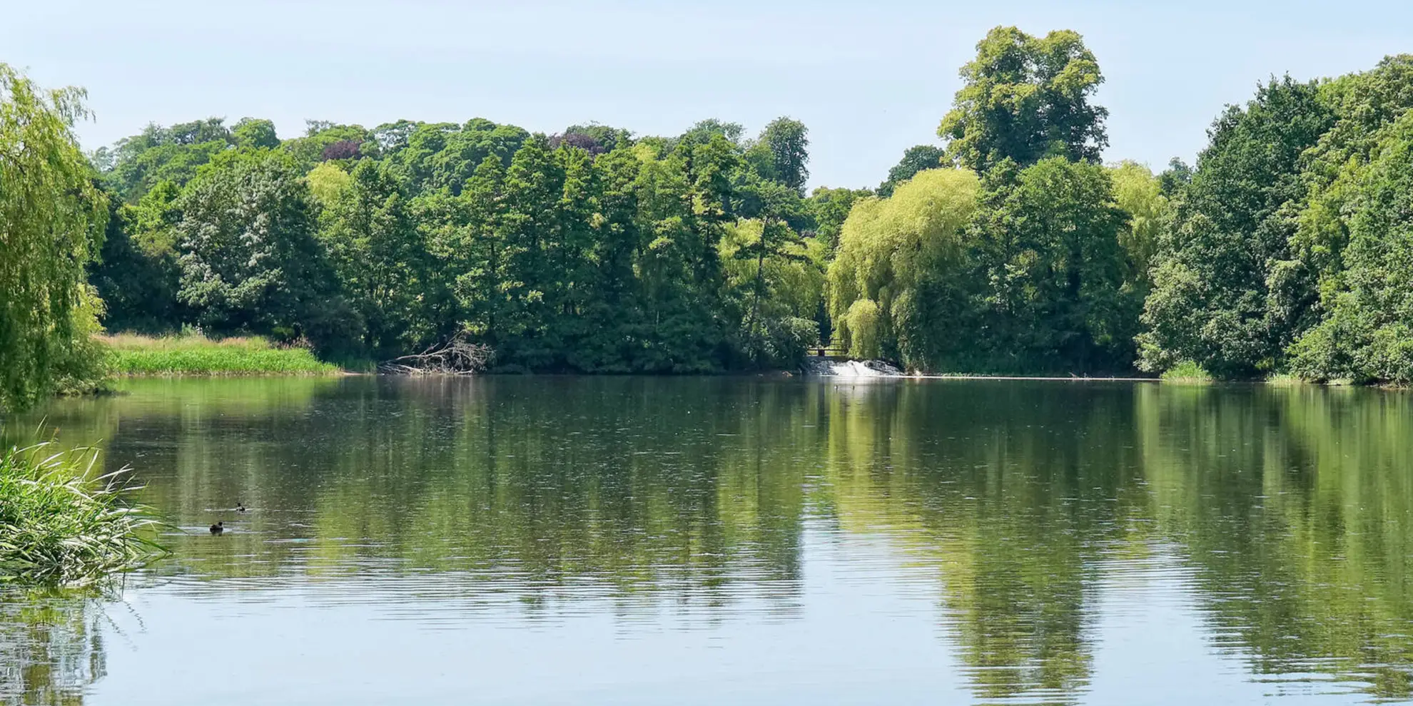 An image depicting the trail Calke Park and Calke Abbey and its surrounding area.