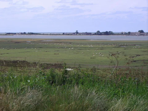 An image depicting the trail Sunderland Point and its surrounding area.
