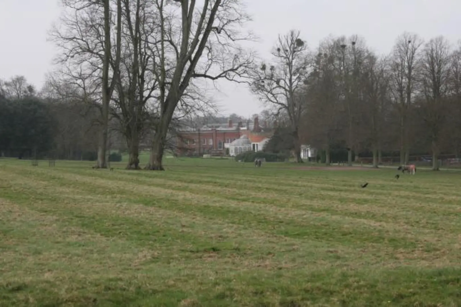 An image depicting the trail River Itchen Circular Walk - 2 and its surrounding area.