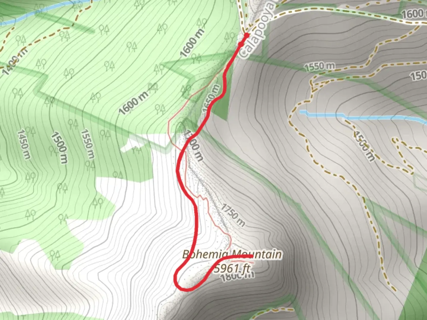 An image depicting the trail Bohemia Mountain Trail and its surrounding area.