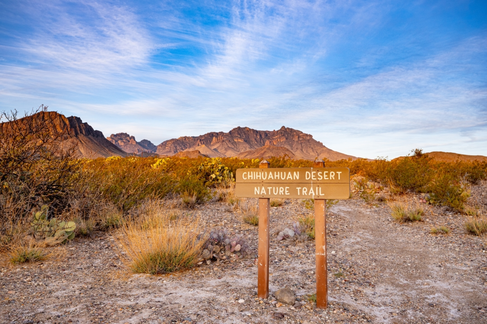 An image depicting the trail Chihuahuan Desert Nature Trail and its surrounding area.