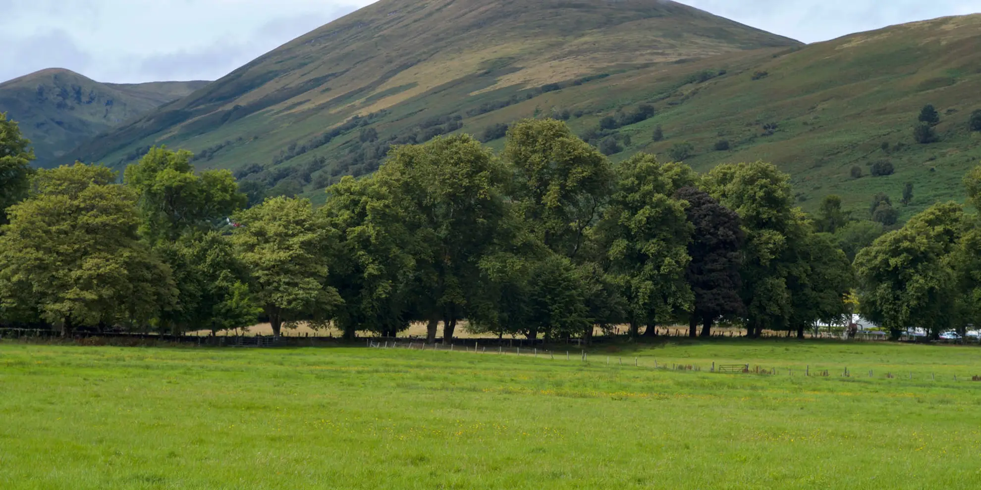 An image depicting the trail Beinn Eich and Doune Hill Walk and its surrounding area.