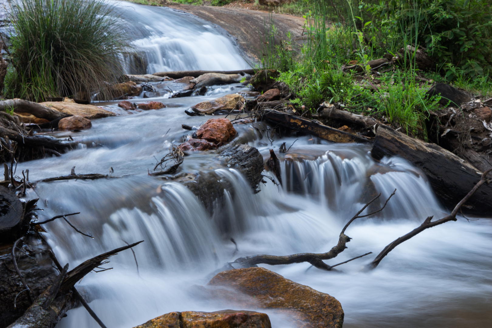 An image depicting the trail King Jarrah Walk and its surrounding area.