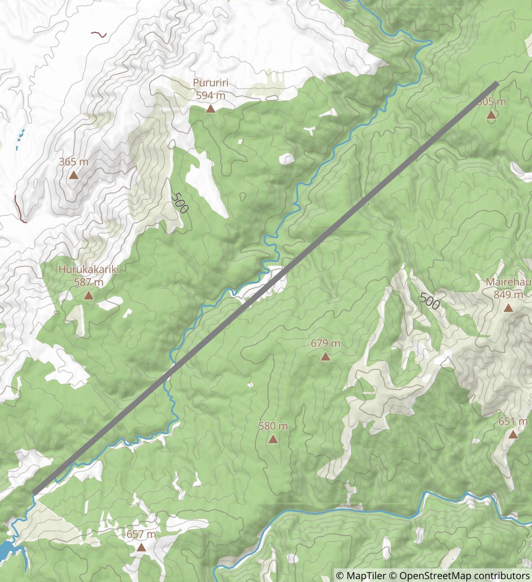 Burtton's Track town map
