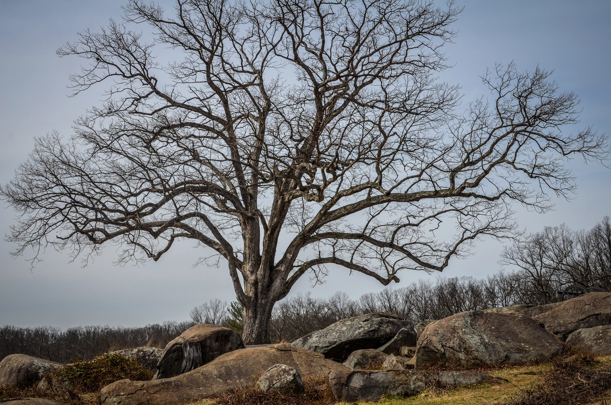 Cemetery Ridge Loop