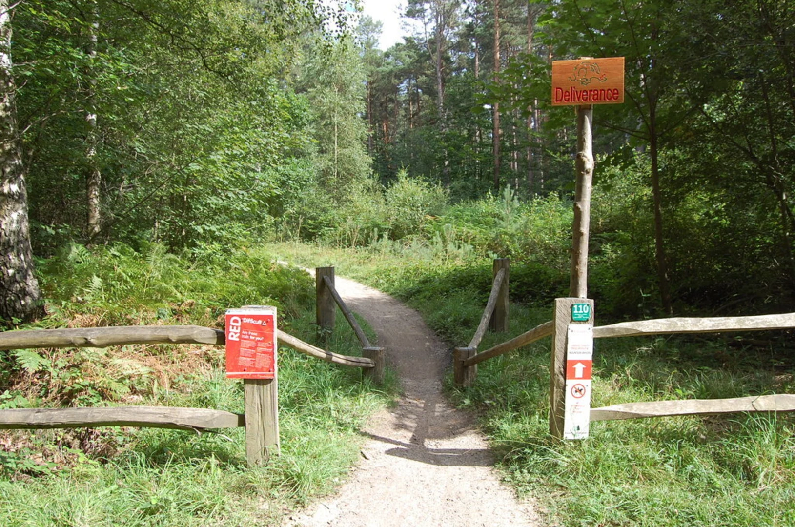 An image depicting the trail Bedgebury Forest and its surrounding area.