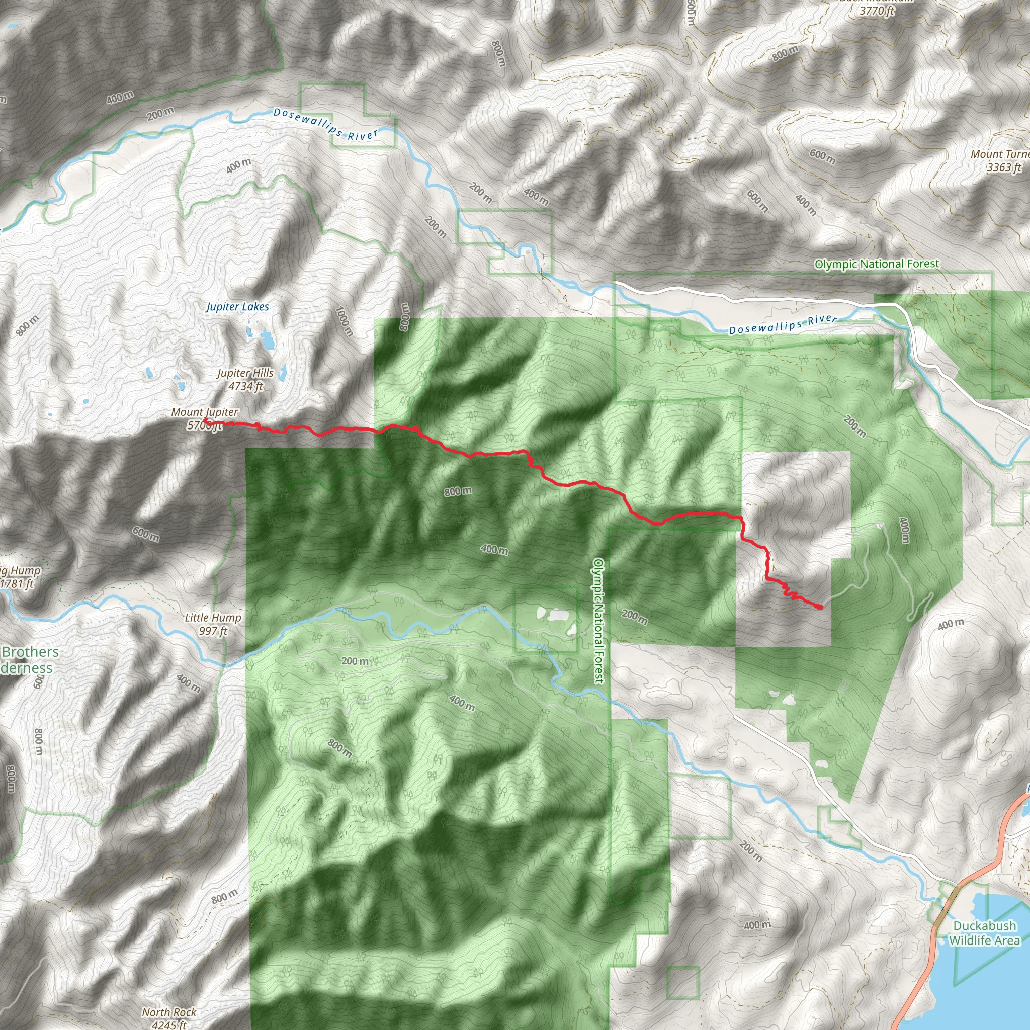 Mt Juipter Trail mobile static map