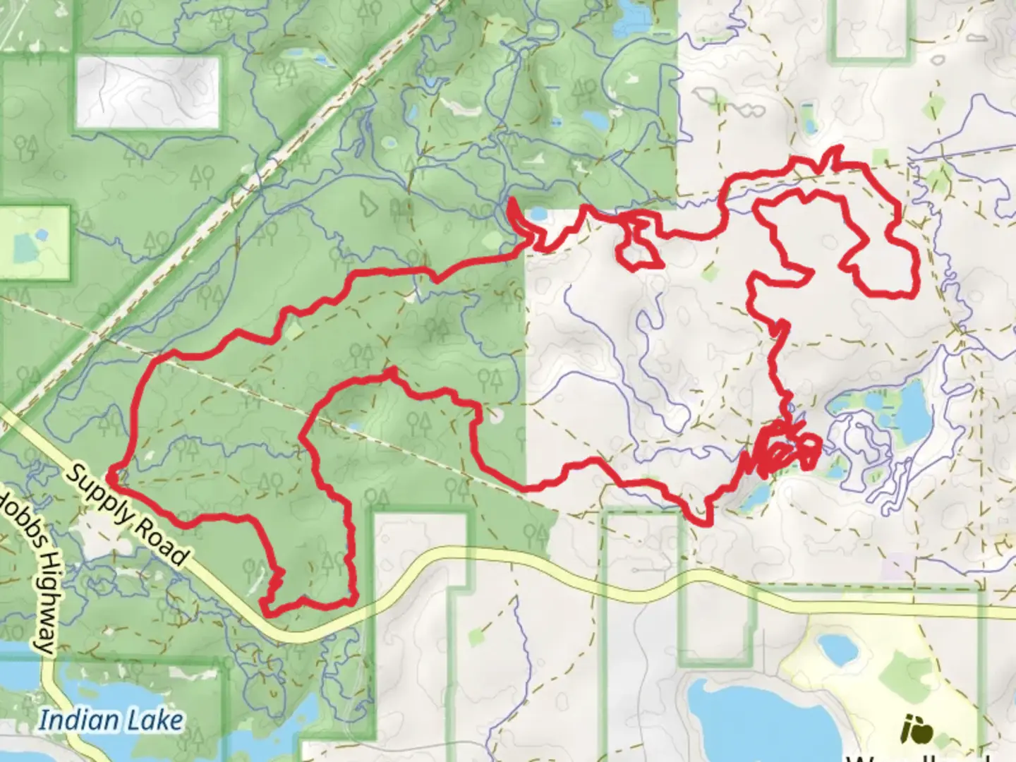 An image depicting the trail VASA Single Track - Blue and Orange Loop and its surrounding area.