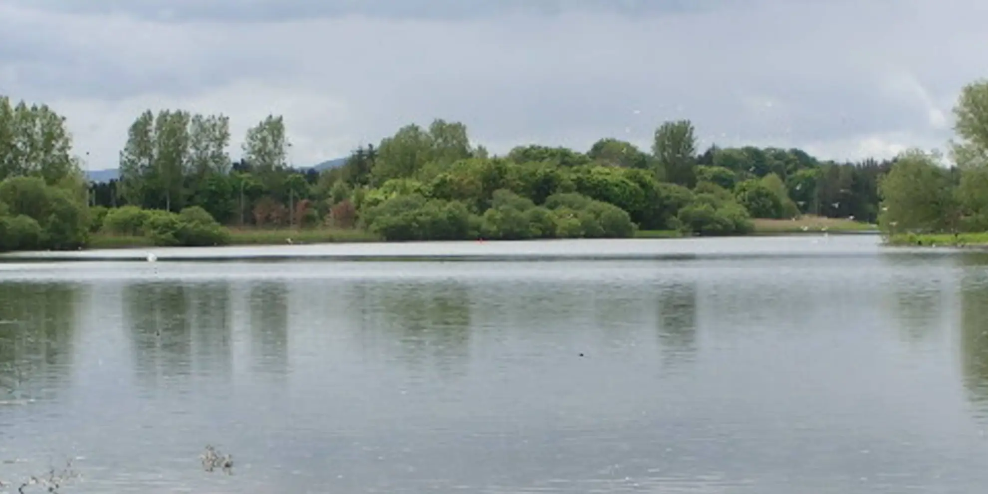 An image depicting the trail Forfar Loch Country Park and its surrounding area.