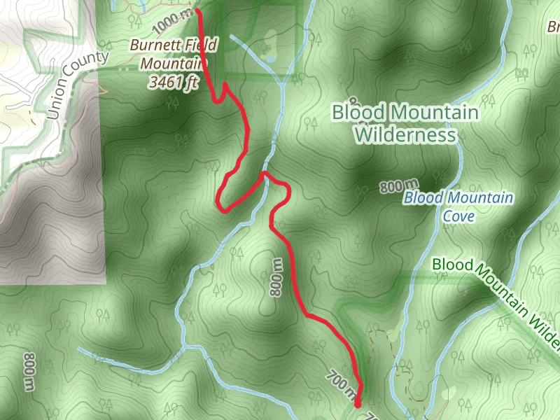 Jarrard Gap Campsite via Abandoned Road
