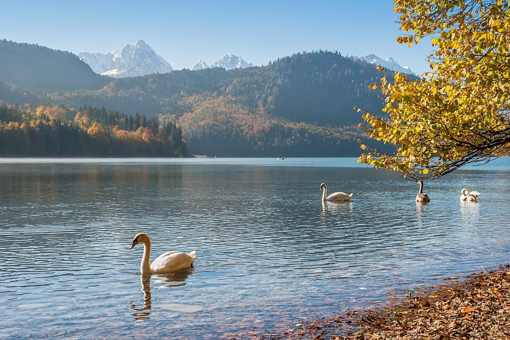 An image depicting the trail Weißensee, Salober and Alatsee via Maximiliansweg and its surrounding area.