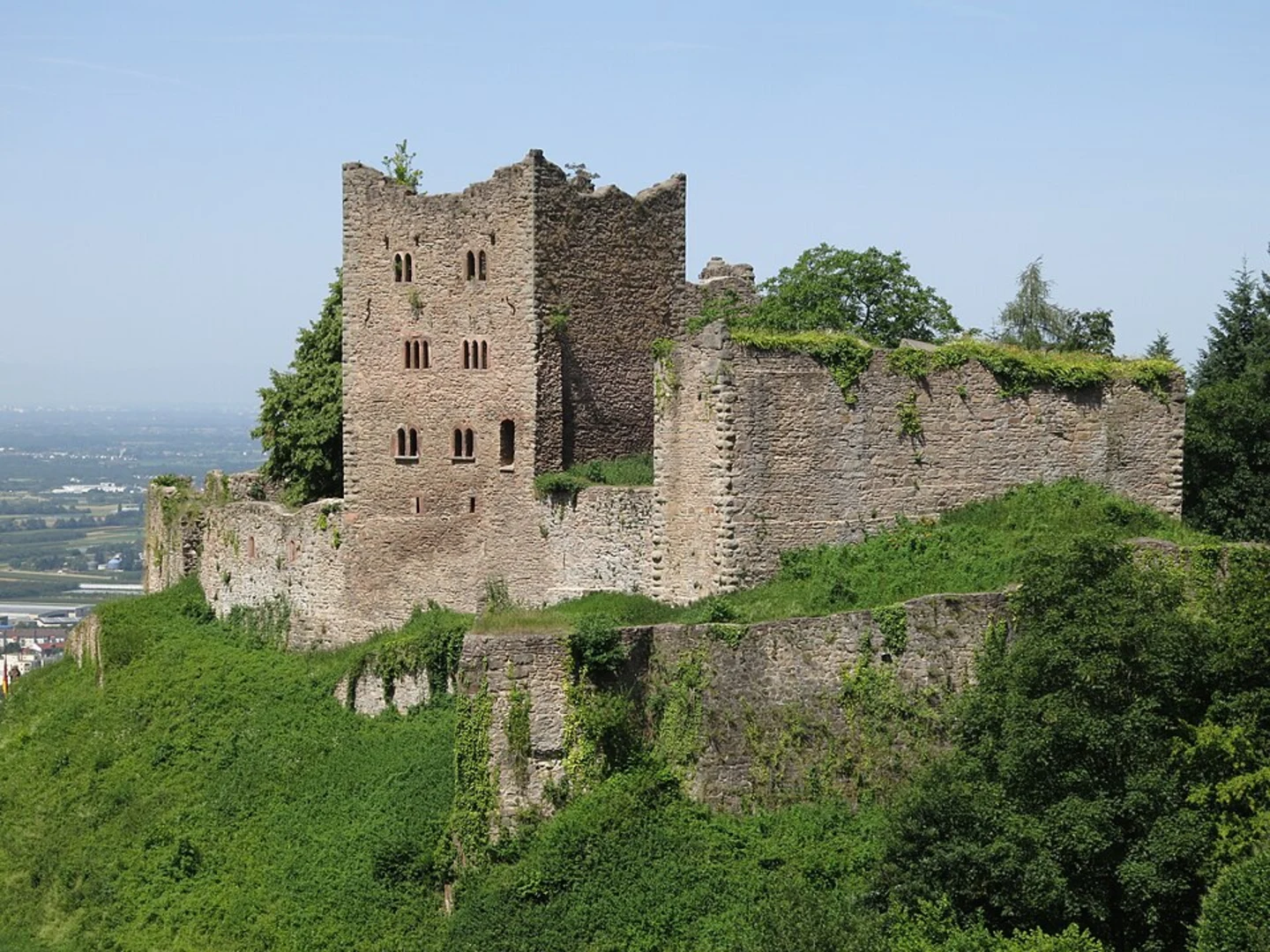 An image depicting the trail Oberer Ölbergweg Loop and its surrounding area.