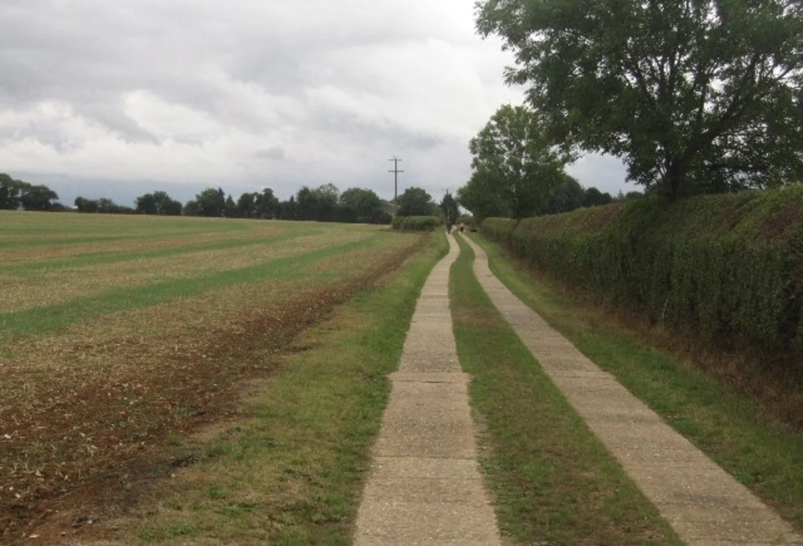 An image depicting the trail Wootton Copse and Marvel Row Copse Loop and its surrounding area.