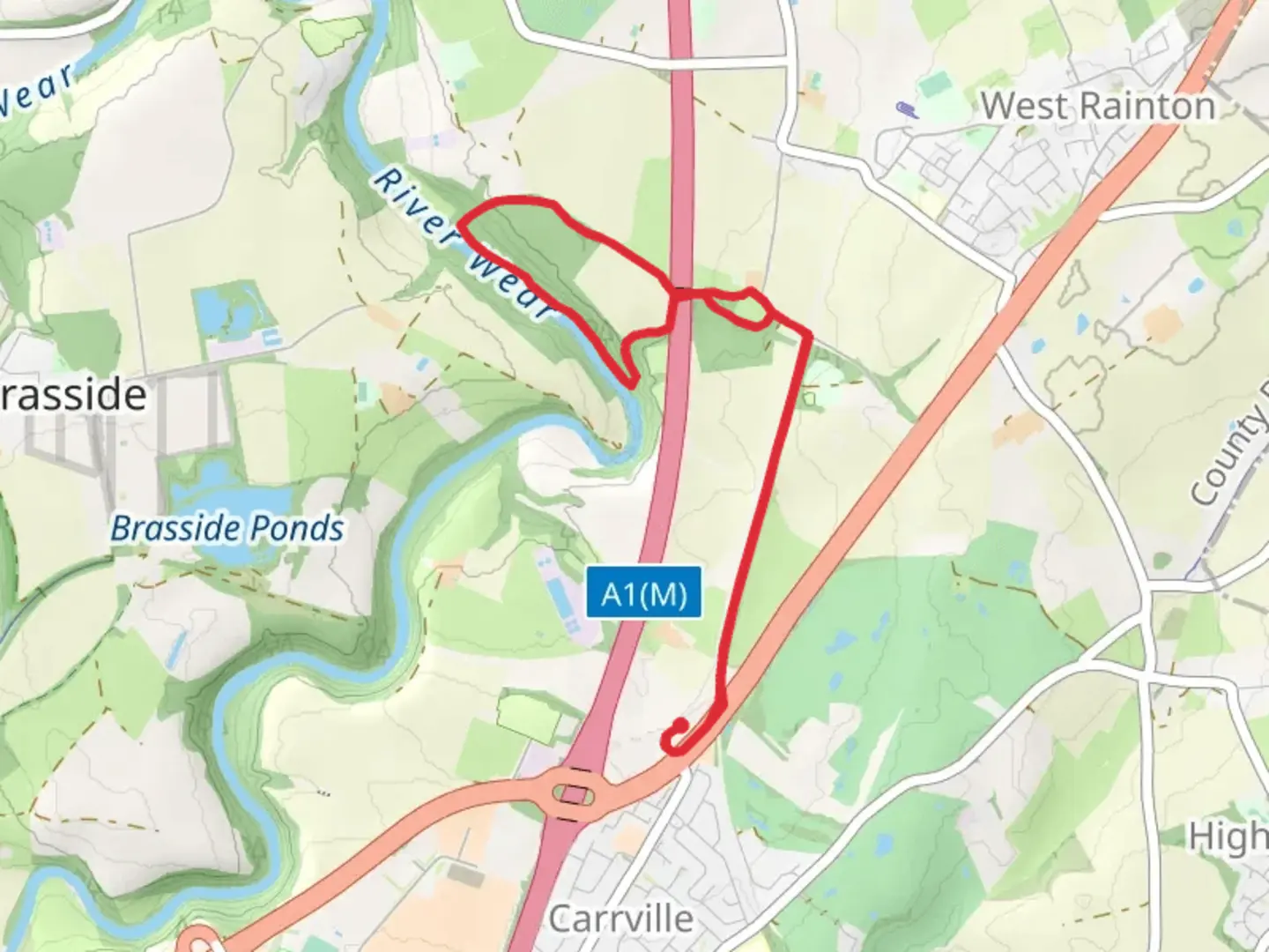 An image depicting the trail Raintonpark Wood Loop and its surrounding area.