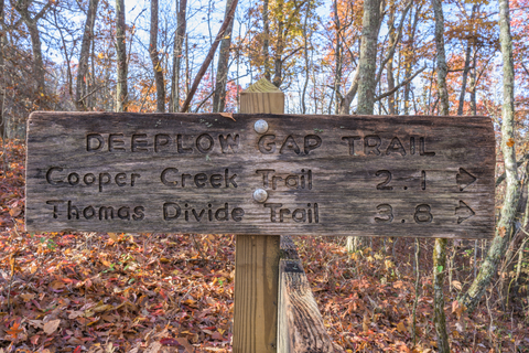 An image depicting the trail Deeplow Gap Trail and its surrounding area.