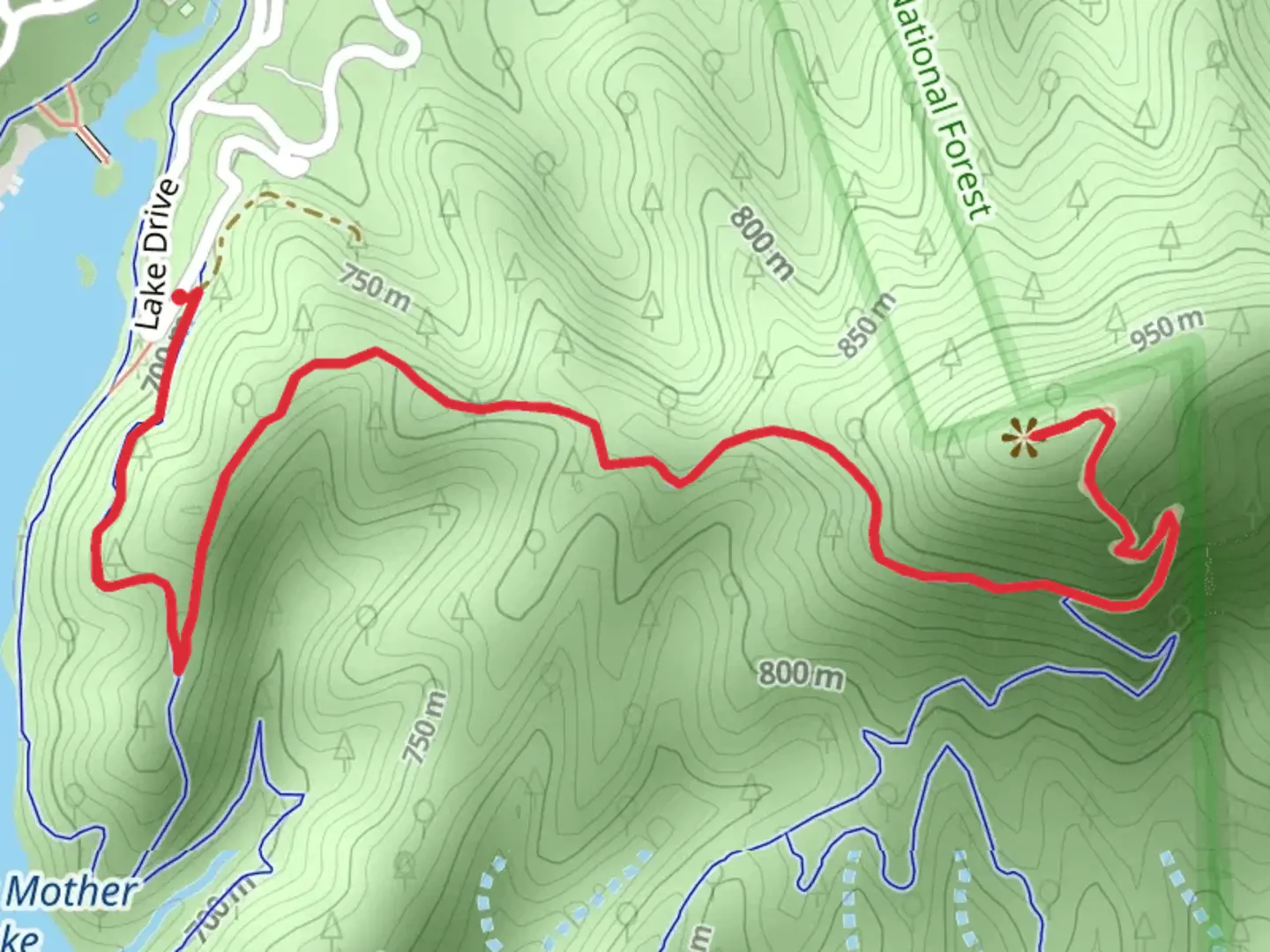 An image depicting the trail Mollys Knob Trail from Lake Drive and its surrounding area.