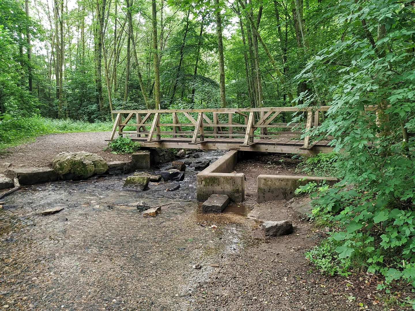 An image depicting the trail Sandweg and Urselbach Muehlenwanderweg and its surrounding area.