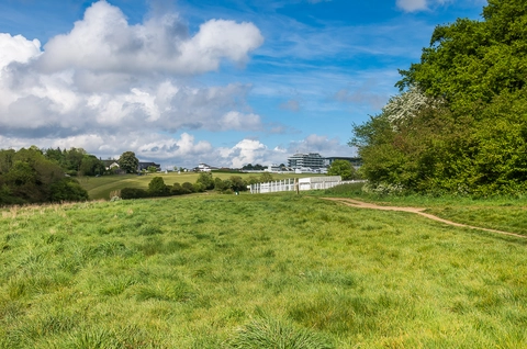 An image depicting the trail Epsom Downs and its surrounding area.