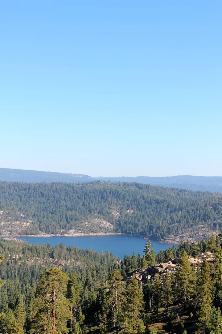 An image depicting the trail Sugar Pine Creek Walk and its surrounding area.