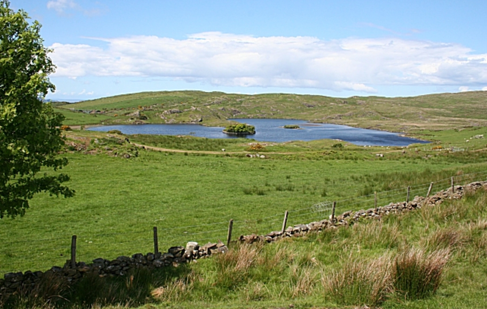 An image depicting the trail Fairhead Loch Dubh Walk and its surrounding area.