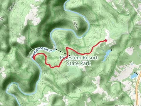 Bluestone River via River Trail