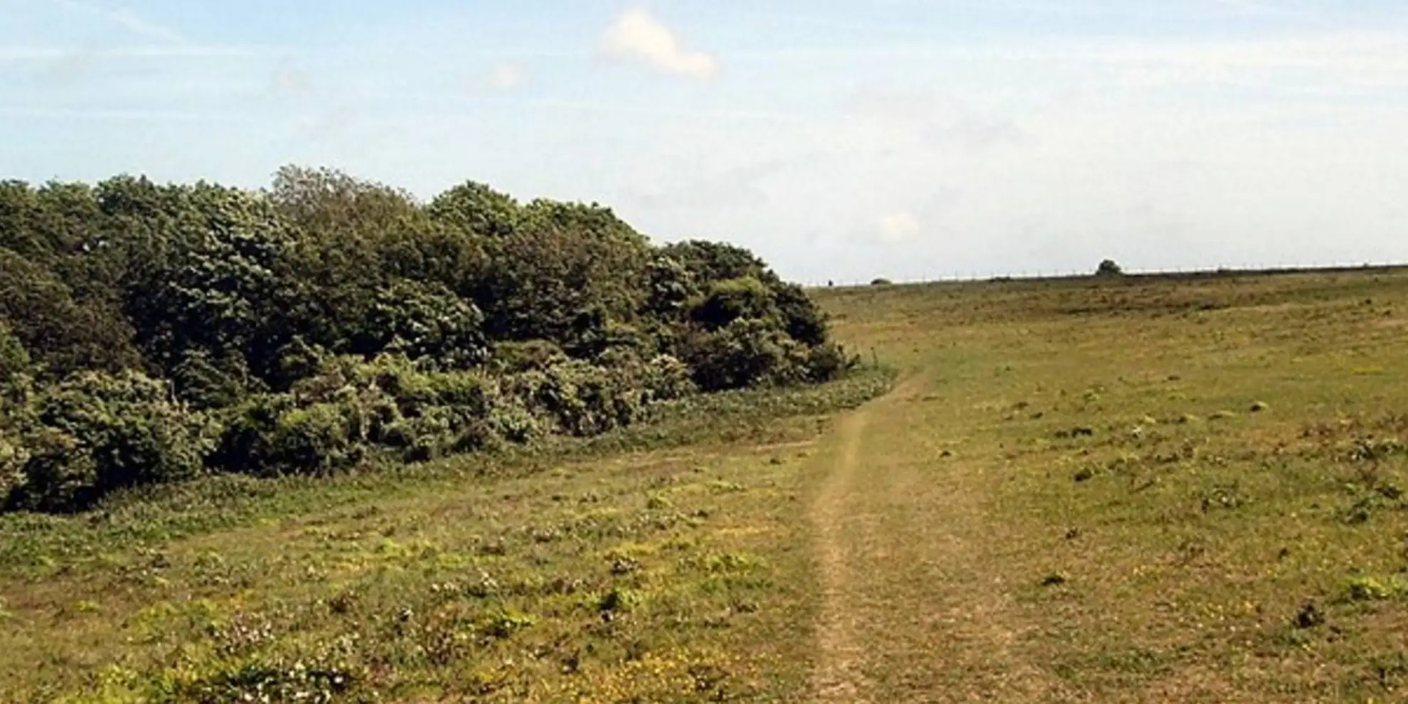 An image depicting the trail Cooksbridge Rail to Ramble and its surrounding area.