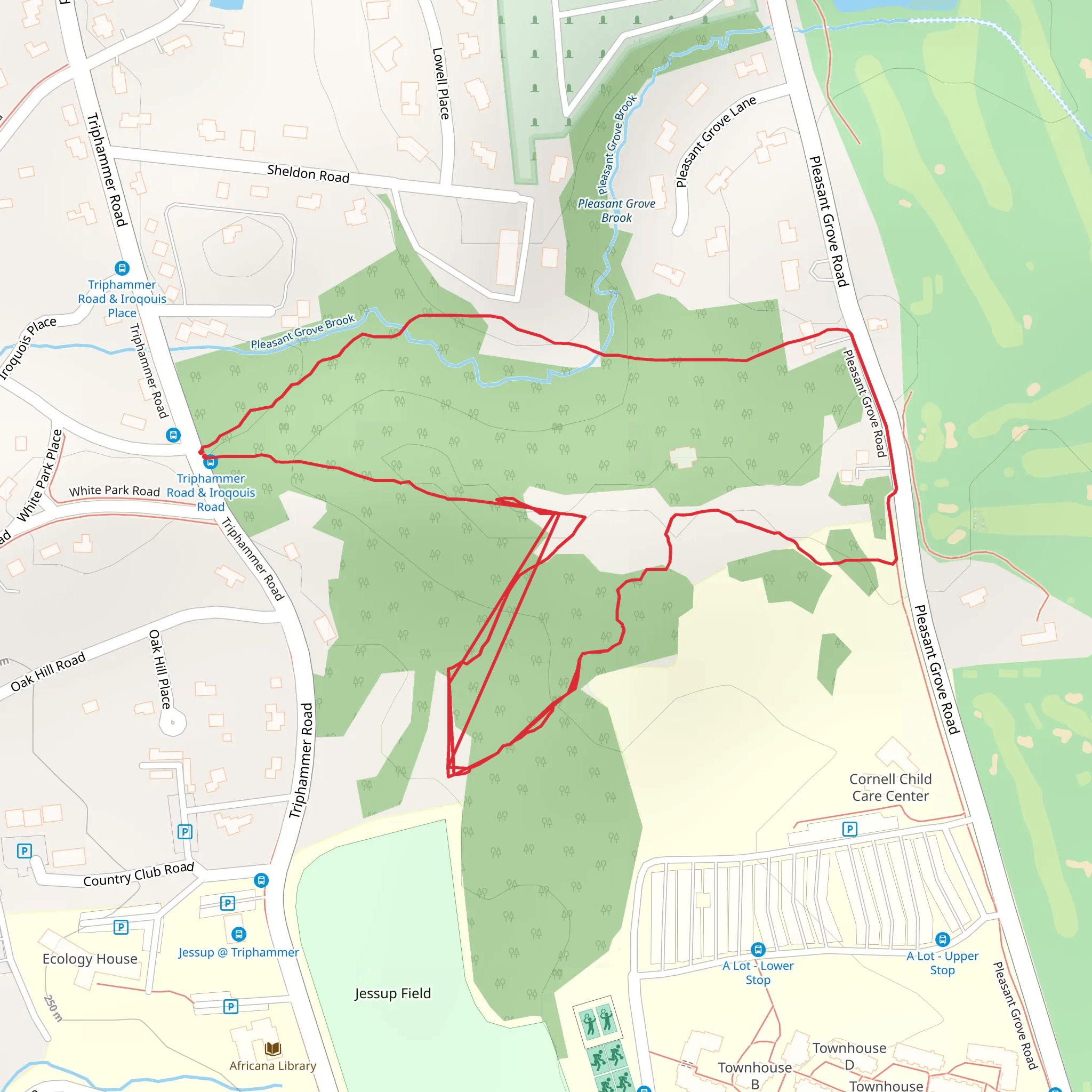 Triphammer Road Loop mobile static map