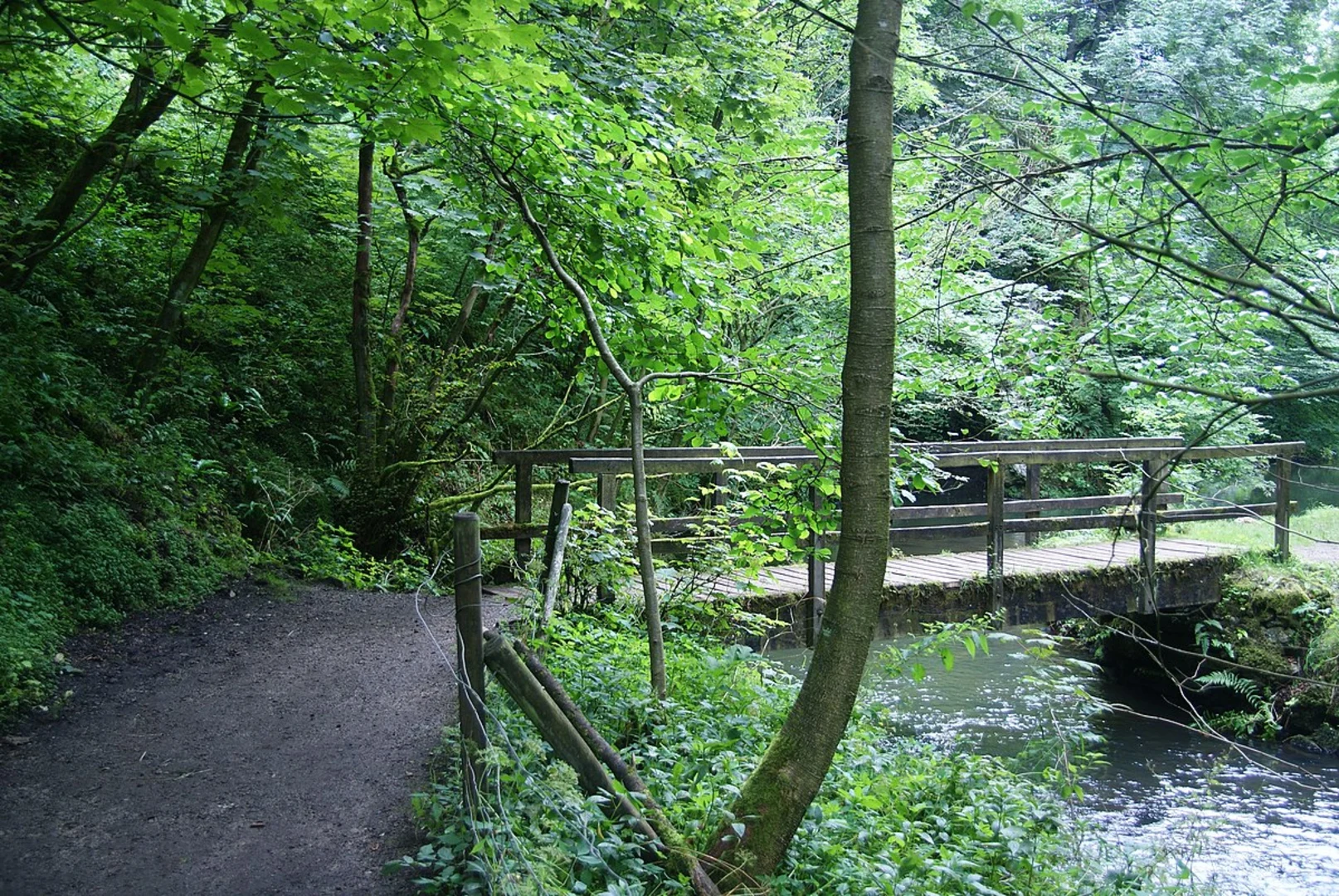 An image depicting the trail Hartington Circular Path and its surrounding area.