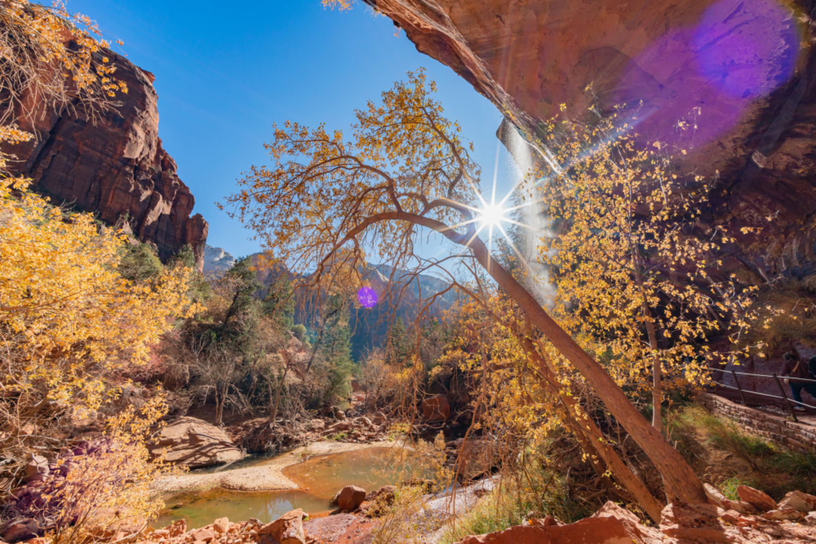 An image depicting the trail Lower Emerald Pool Trail and its surrounding area.