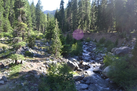 An image depicting the trail Union Creek Trail to Union Lake and its surrounding area.