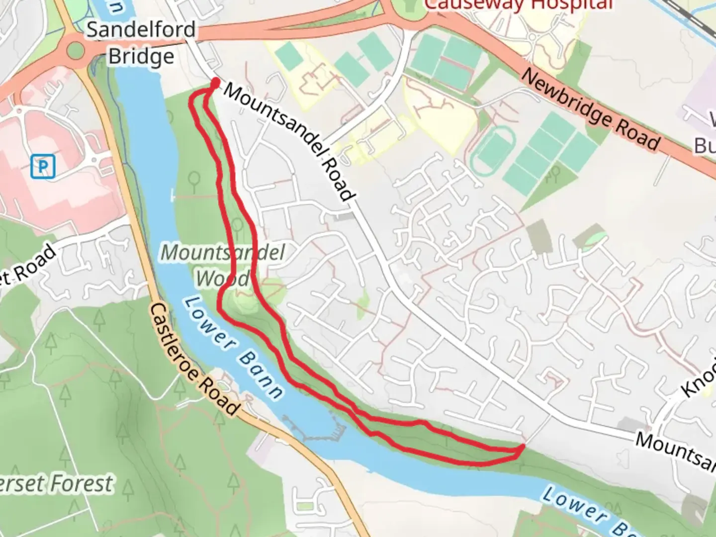 An image depicting the trail Mountsandel Wood and its surrounding area.