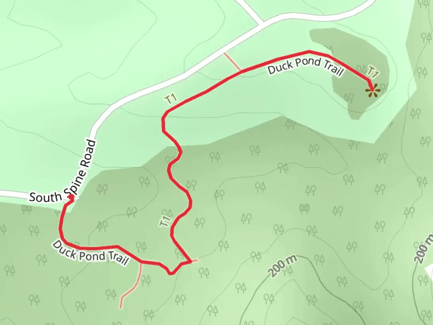 An image depicting the trail Duck Pond Trail and its surrounding area.