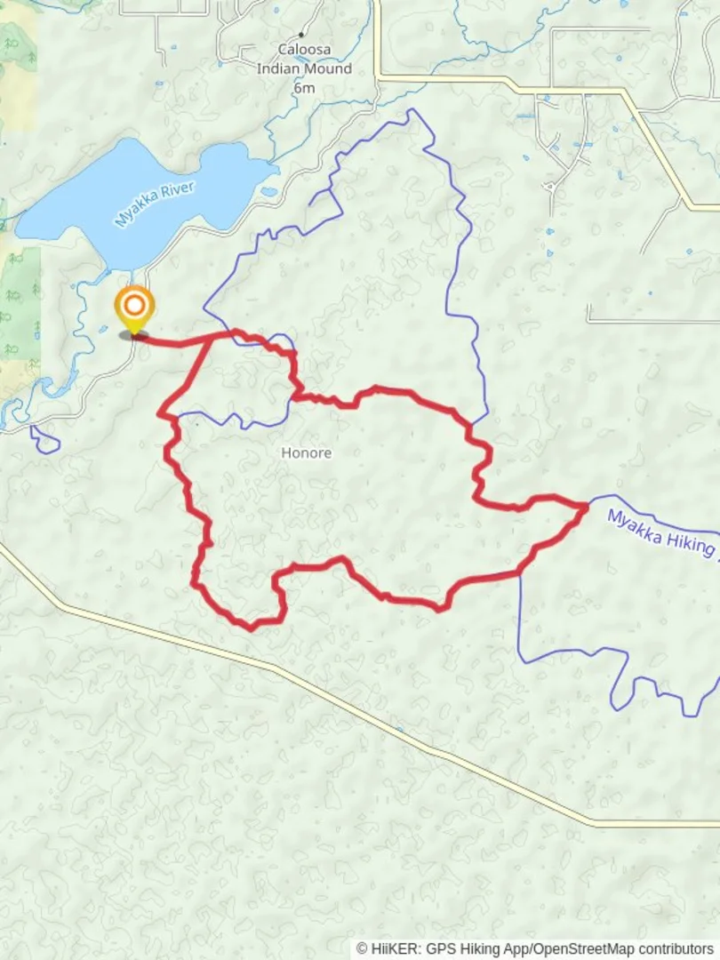 An image depicting the trail Myakka Hiking and Bee Island Crosstrail Loop and its surrounding area.