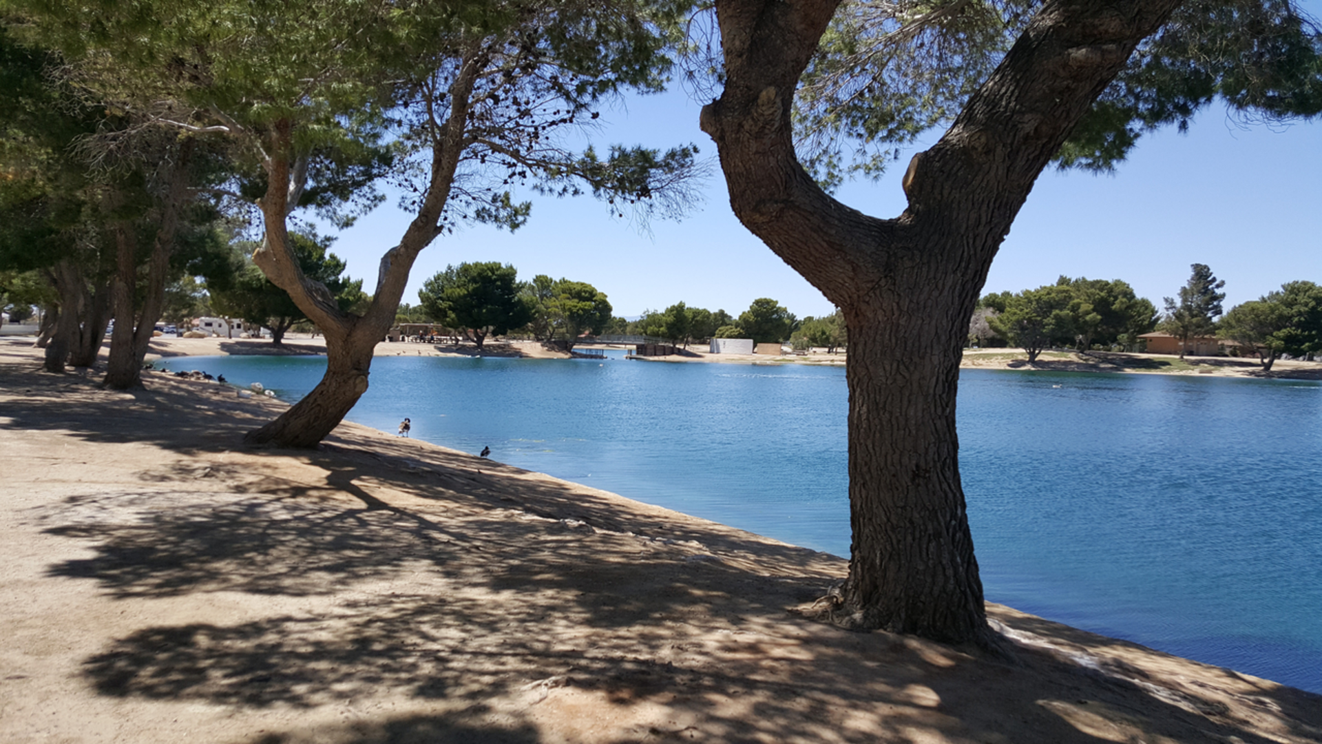 An image depicting the trail Apollo Park Loop and its surrounding area.