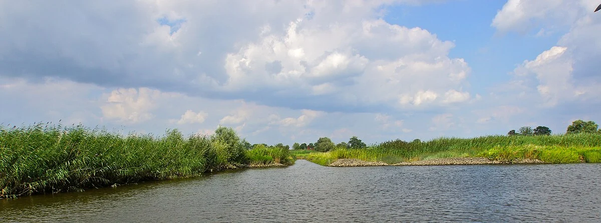Borghorster Bahn via Rundweg