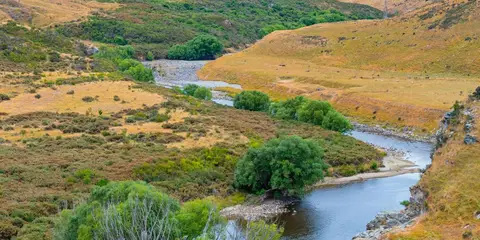 An image depicting the trail Taieri River Track and its surrounding area.