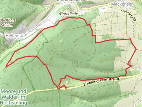 Seuteborn-Weg and Schnepfenstieg Loop