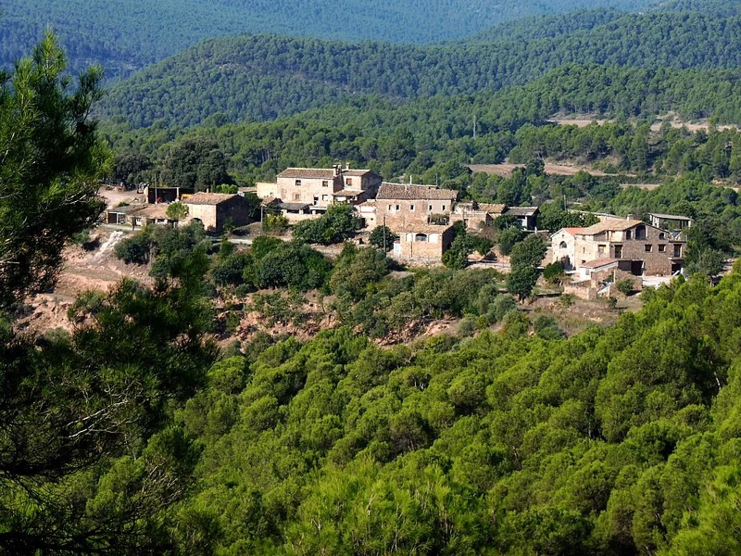 An image depicting the trail Suria Trail PR C 134 and its surrounding area.