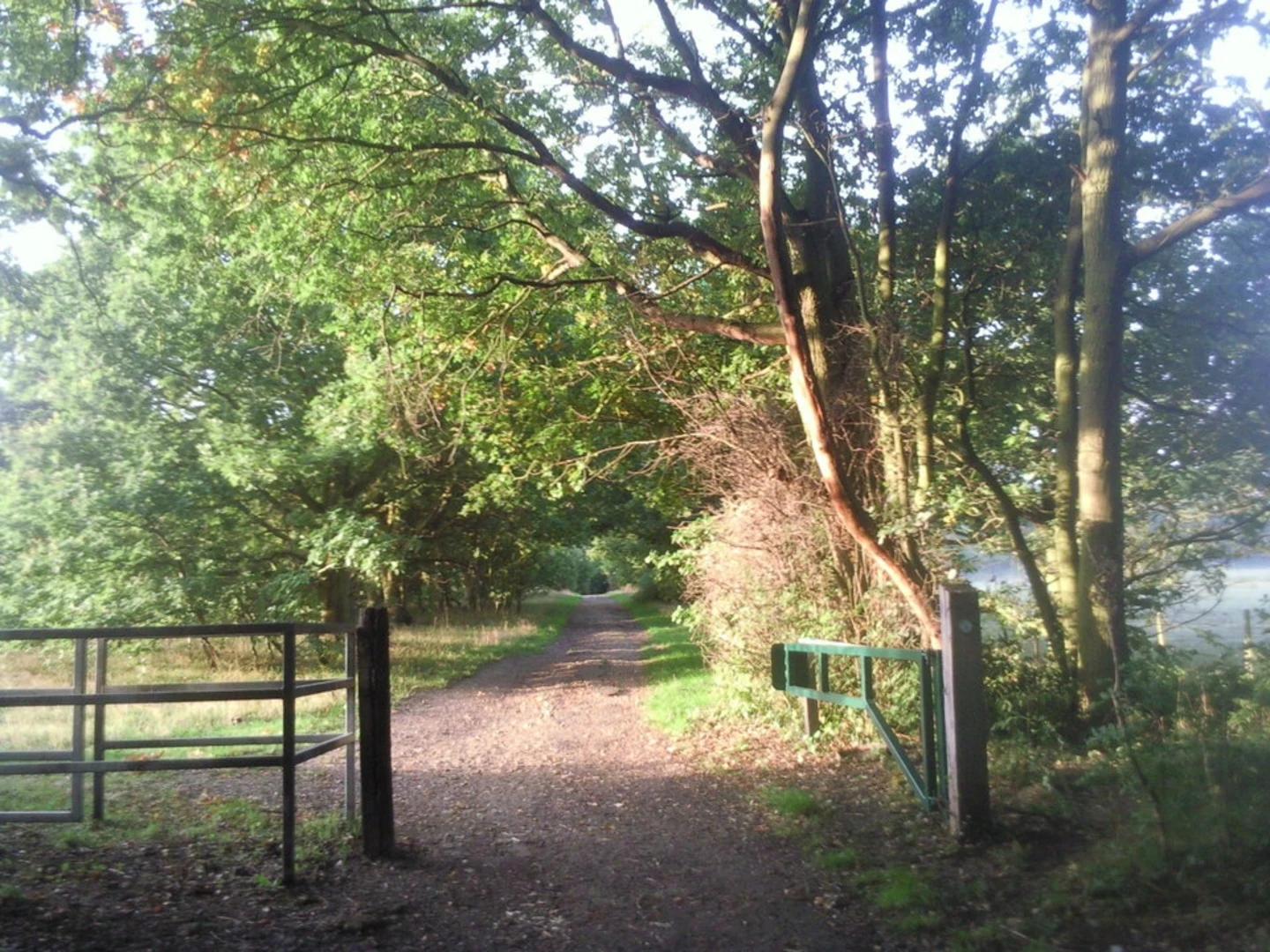 An image depicting the trail Scadbury Park Loop and its surrounding area.