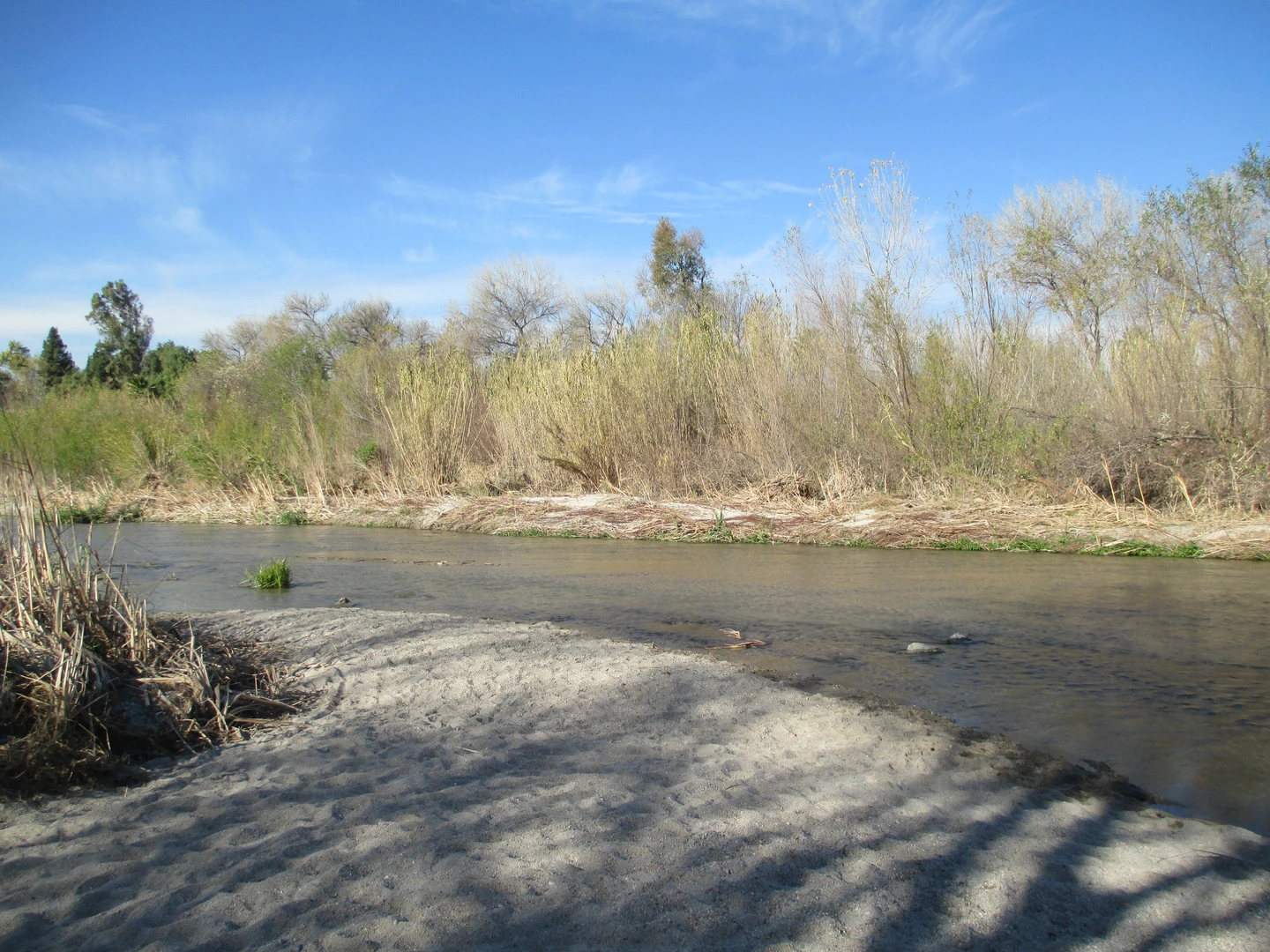An image depicting the trail Santa Ana River Trail to Martha McLean Anza Narrows Park and its surrounding area.