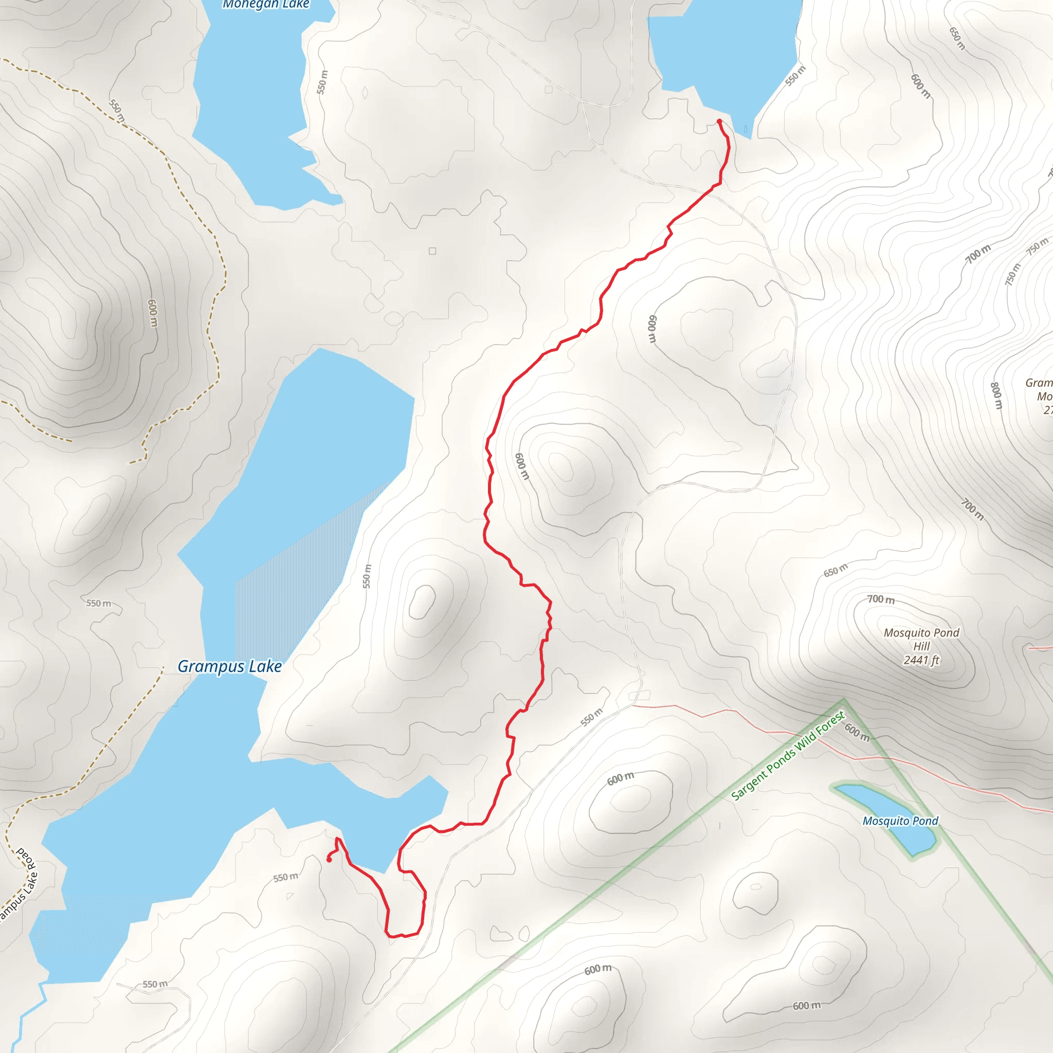 Grampus Lake and Handsome Pond Out and Back mobile static map