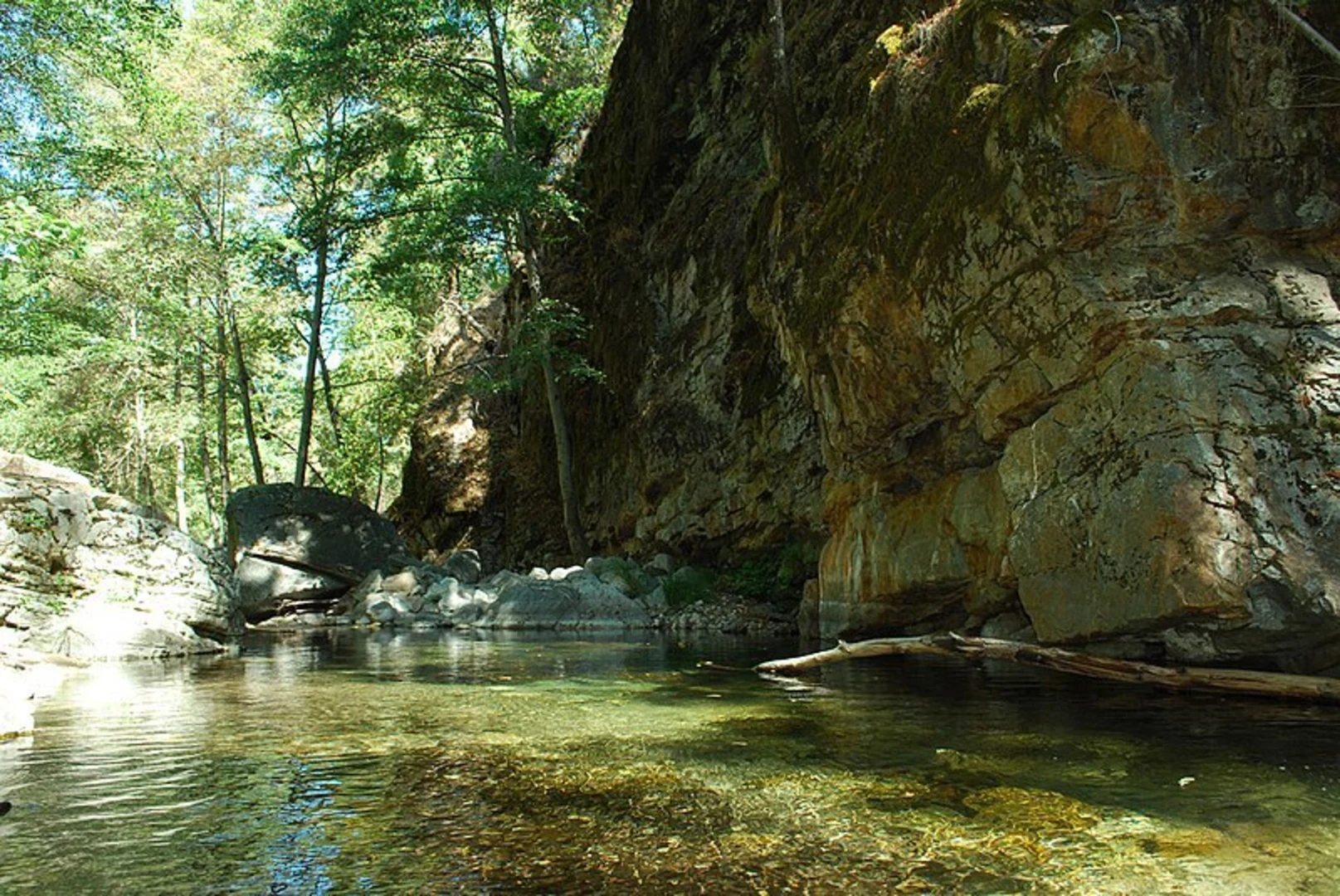 An image depicting the trail Carmel River Trail and its surrounding area.