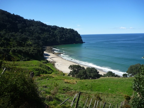 Homunga Bay Track to Wright Falls