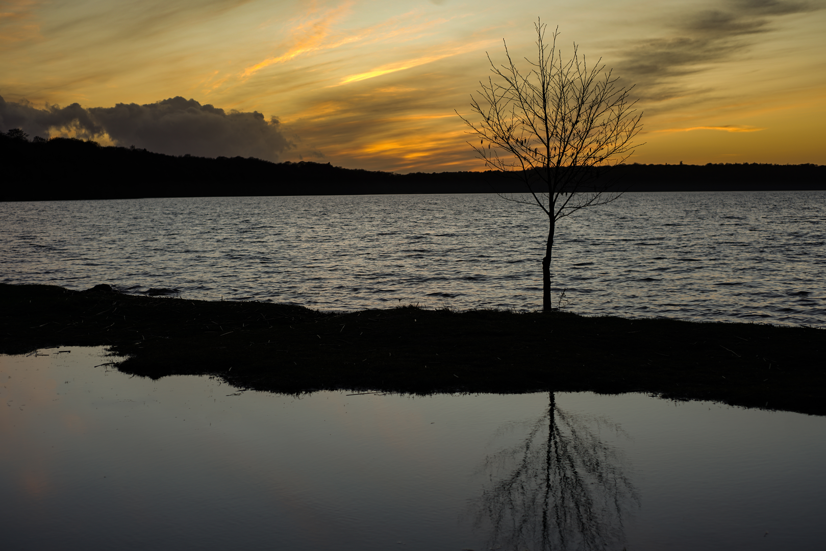 An image depicting the trail Furesø Loop and its surrounding area.