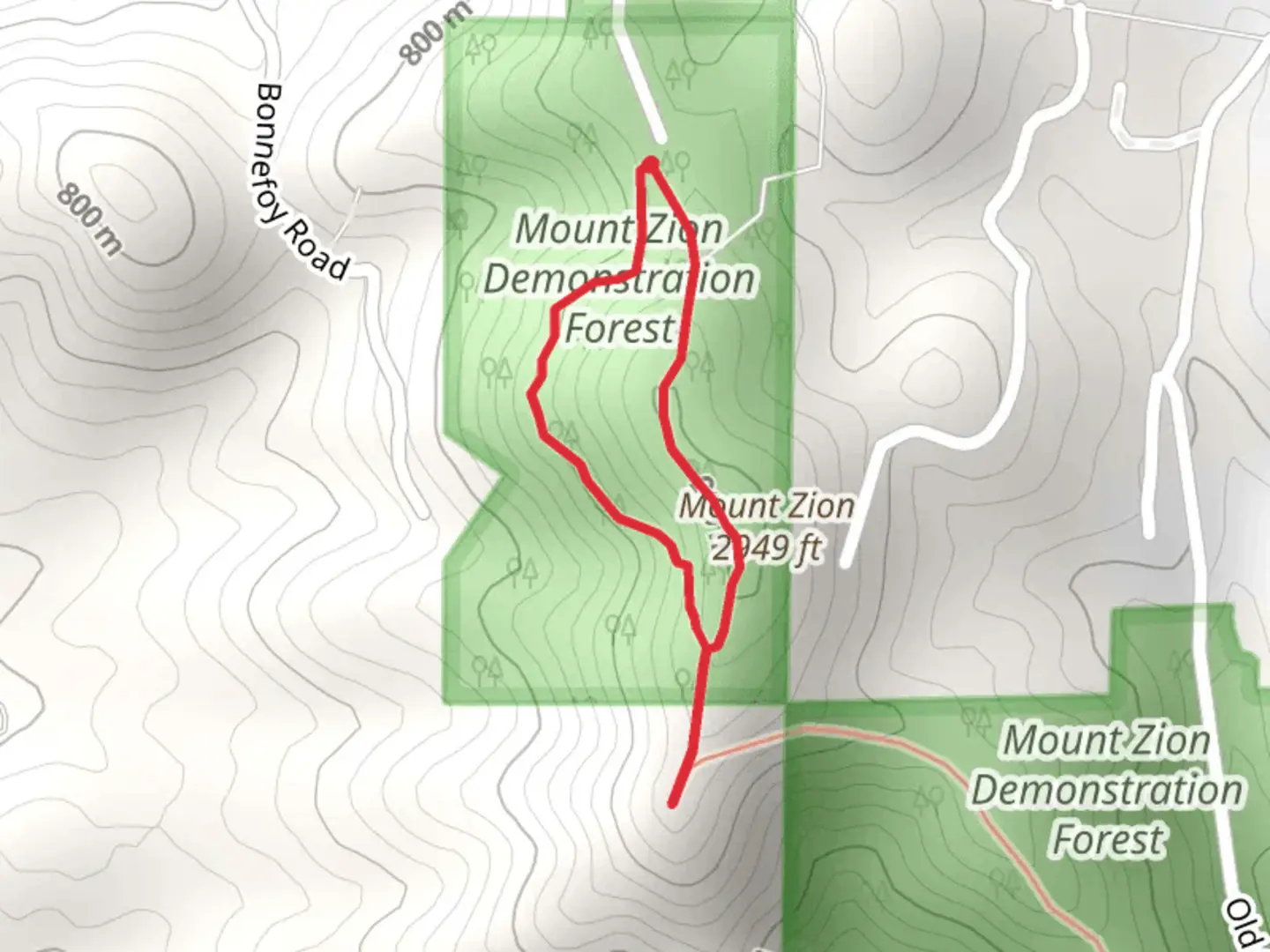 An image depicting the trail Mount Zion Demonstration Forest Loop and its surrounding area.