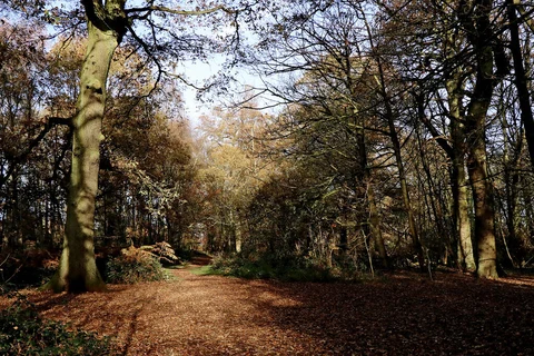 Kingswinford Railway Walk