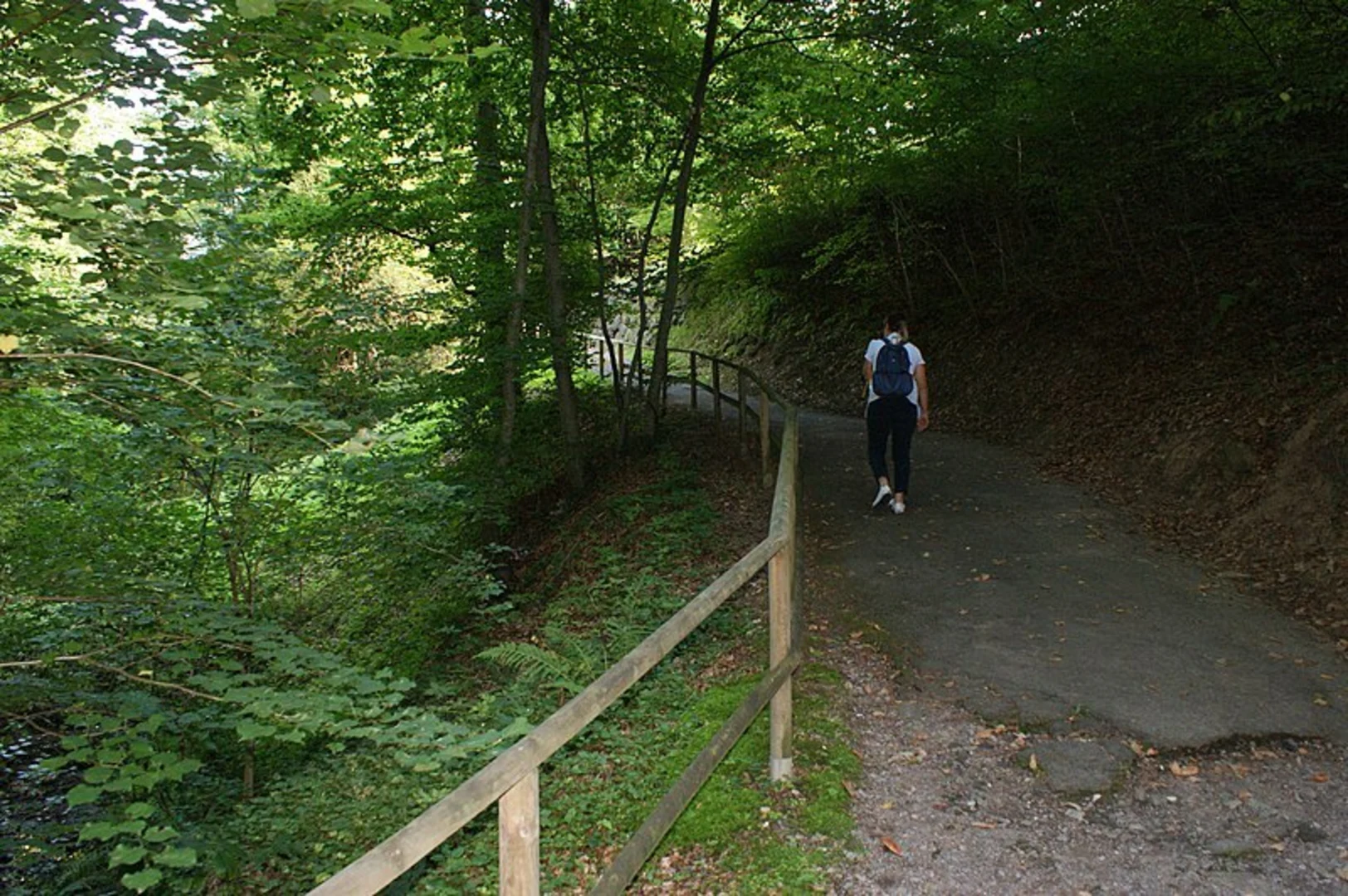 An image depicting the trail 3-Kogel-Weg Variante and its surrounding area.