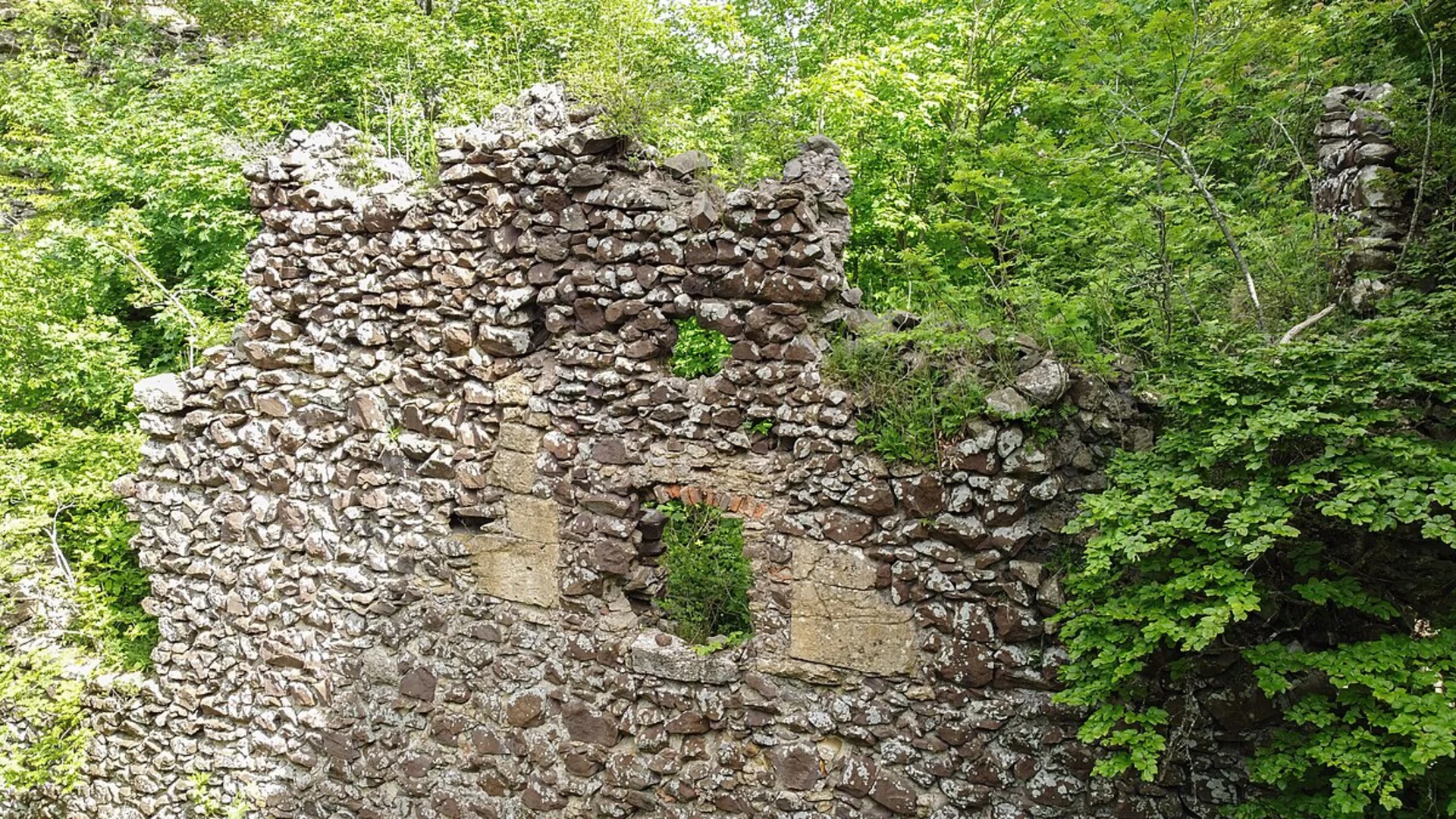 An image depicting the trail Neuhewen Loop via Schwarzwald and its surrounding area.